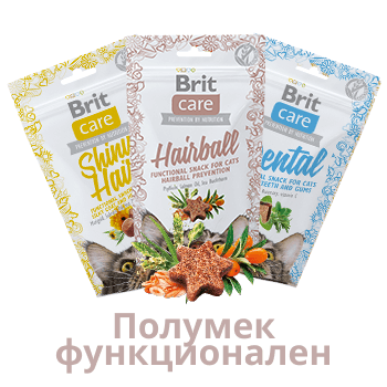 ЛАКОМСТВА