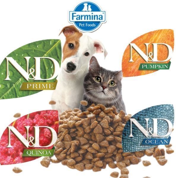 N&D